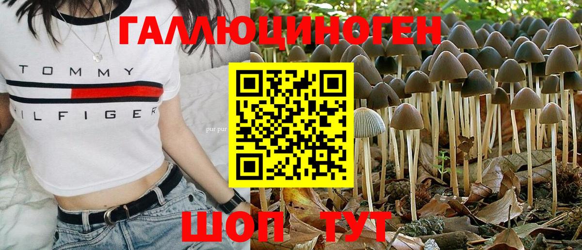 Псилоцибиновые грибы мицелий Барнаул