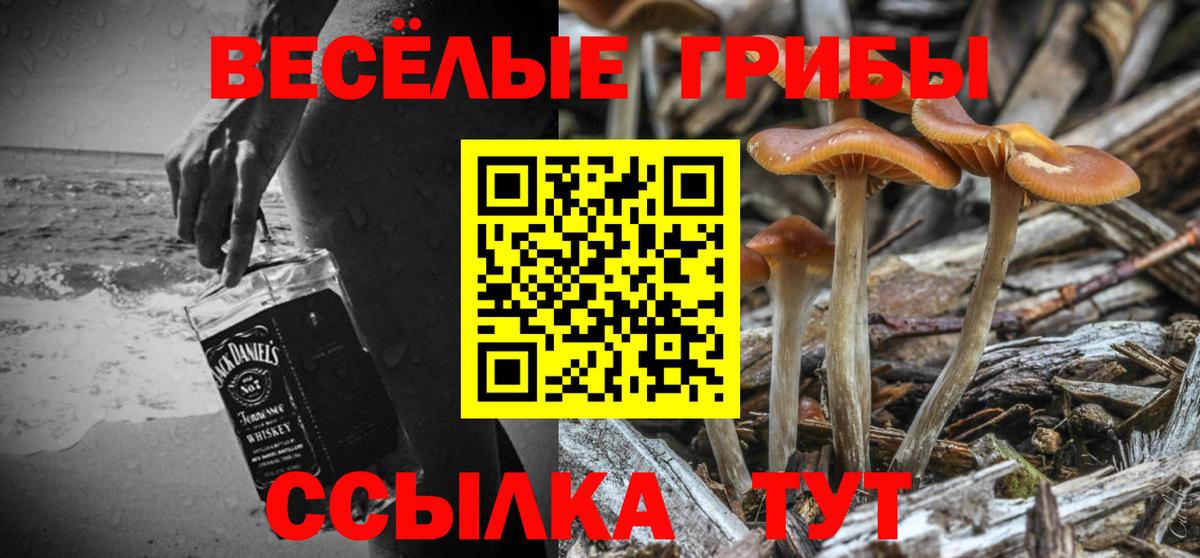Псилоцибиновые грибы Psilocybine cubensis  Псилоцибиновые грибы мухоморы  Вход с VPN  Барнаул 